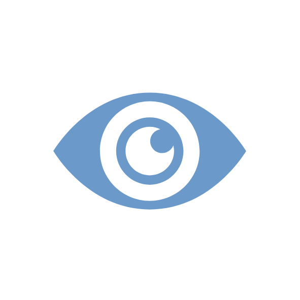 vision