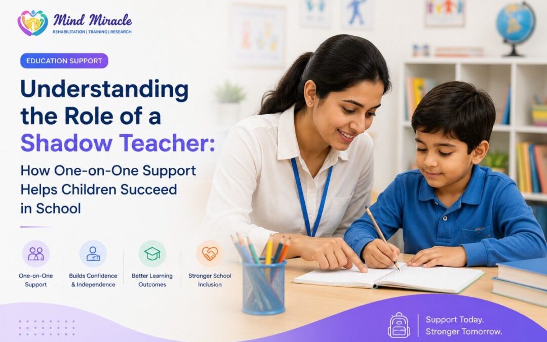 Understanding the Role of a Shadow Teacher